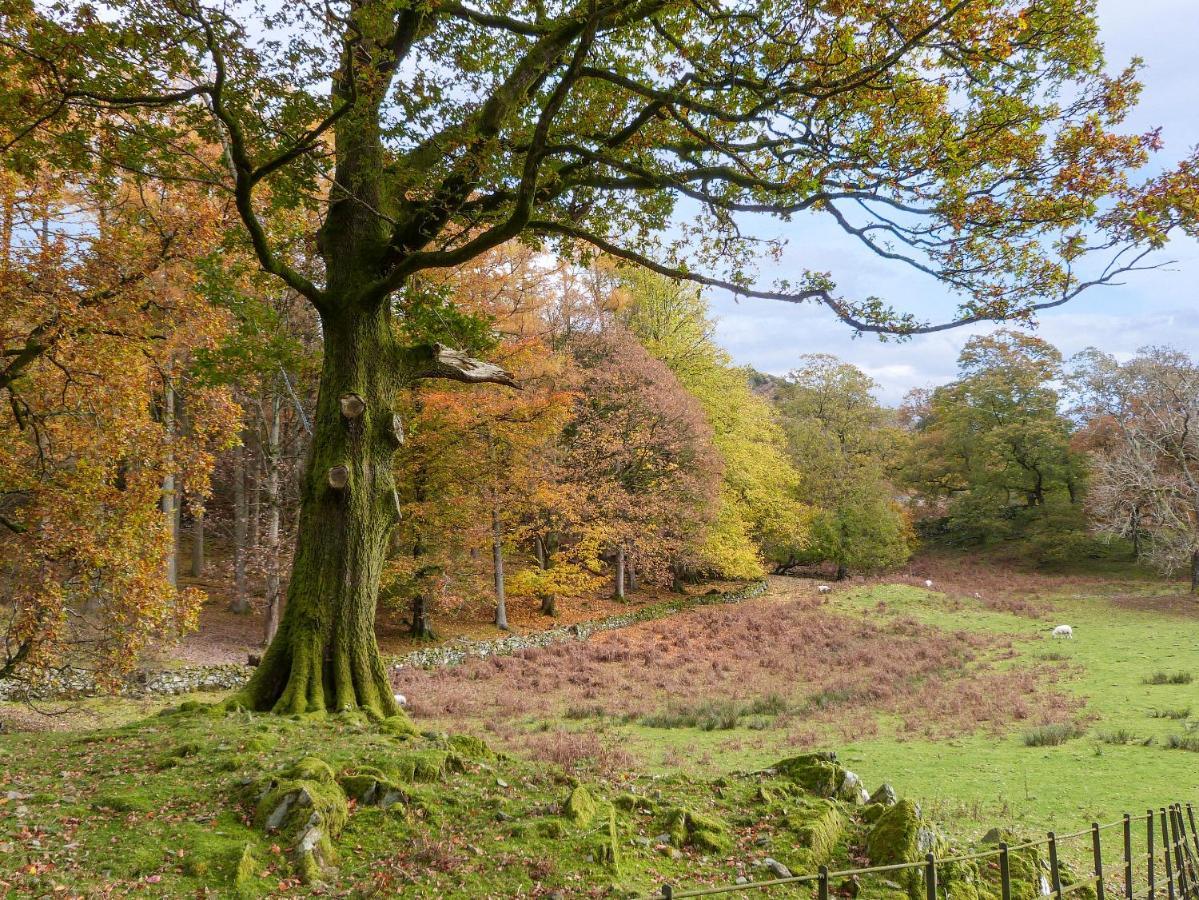 Yew - Woodland Cottages 鲍内斯温德米尔 外观 照片